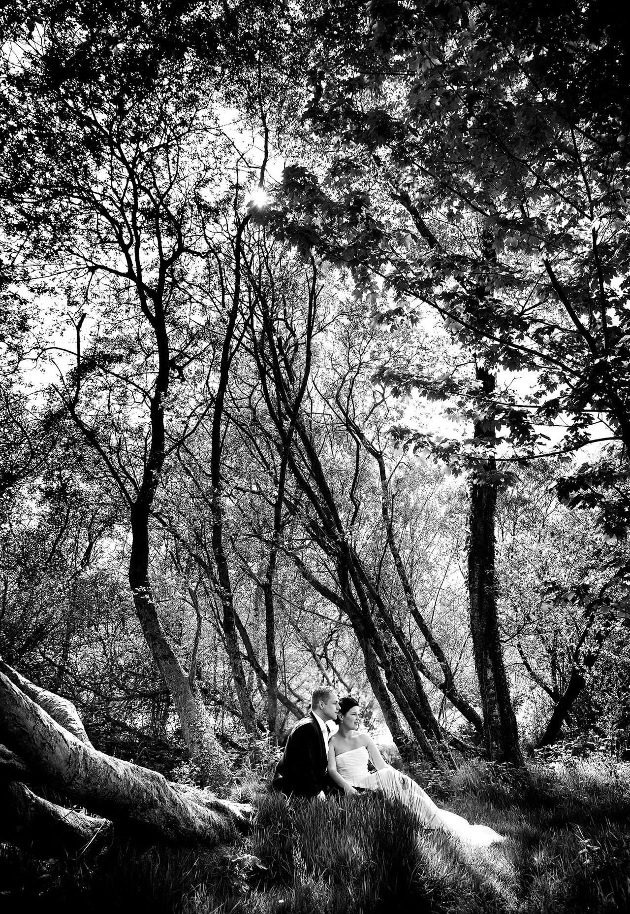 Ccolours studio, website design, photography post production, branding, Dublin, Ireland.