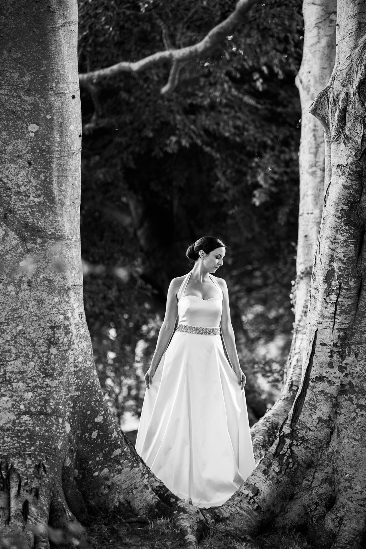 Ccolours studio, website design, photography post production, branding, Dublin, Ireland.